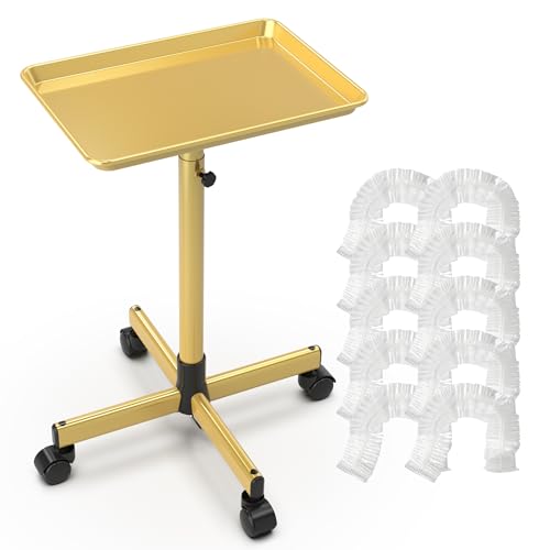 Rolling Salon Tray with Wheels & Adjustable Height