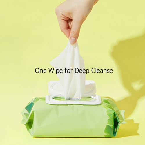 CHARMZONE Ginkgo Soothing & Cleansing Tissue ? Facial Wipes for Gentle Makeup Removal and Refreshing Cleanse, 70 Sheets (353g), Korean Skincare