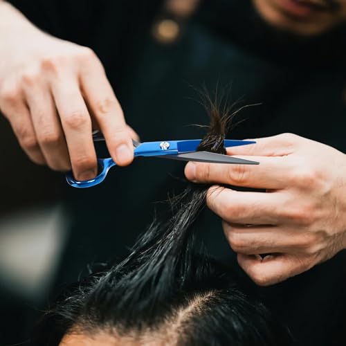 Professional Hair Cutting Scissors Set with Thinning Shears