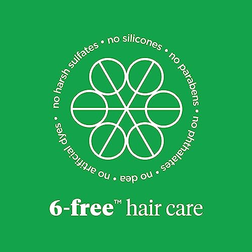 Briogeo Superfoods Banana + Coconut Hair Pack, Replenish Dull, Dry Hair and Supports Healthy Hair and Scalp, Moisturizing for All Hair Textures, Hydrating Cleanse, Vegan, Cruelty-Free, 2 x 12.5 fl oz