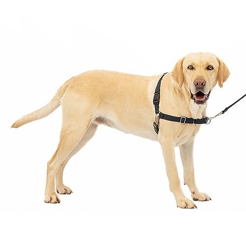 PetSafe Easy Walk No-Pull Dog Harness - The Ultimate Harness to Help Stop Pulling - Take Control & Teach Better Leash Manners - Helps Prevent Pets Pulling on Walks, Large, Black/Silver