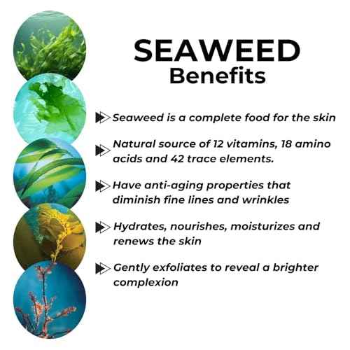 Repechage Algo Mist Hydrating Seaweed Facial Spray for All Skin Types - Aloe and Vitamin C Infused Face Mist Keeps Skin Hydrated, Refreshed and Nourished, 6 fl oz.