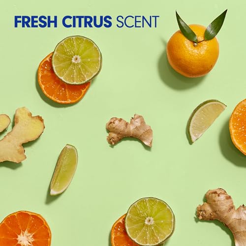 Softsoap Liquid Hand Soap Refill - Fresh Citrus, 50oz, Pack of 6