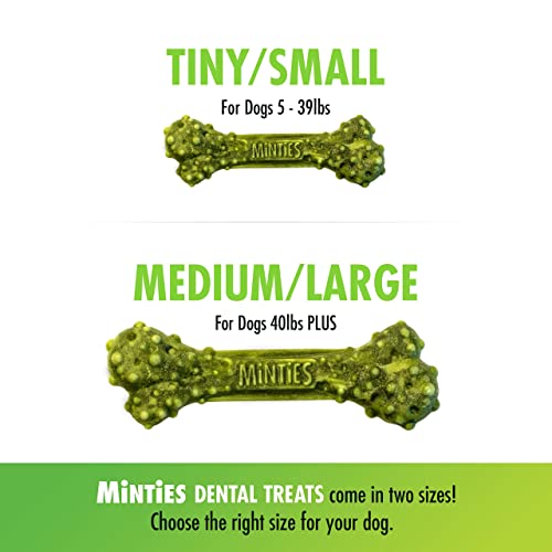 Minties Dental Chews for Dogs, 80 Count, Vet-Recommended Mint-Flavored Dental Treats for Tiny/Small Dogs 5-24 lbs, Dental Bones Clean Teeth, Fight Bad Breath, and Removes Plaque and Tartar