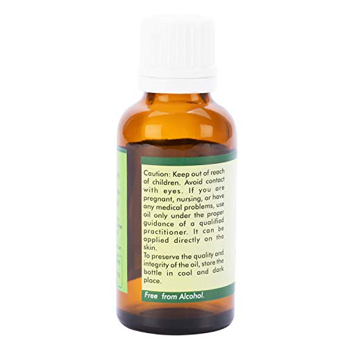 Chaulmoogra Oil | Hydnocarpus Wightiana | for Hair | for Skin | 100% Pure Natural | Cold Pressed | Unrefined | 15ml | 0.507oz by R V Essential