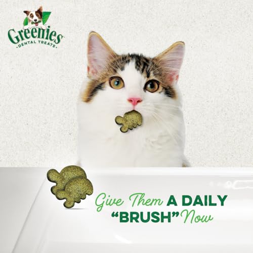 Greenies Feline Adult Natural Dental Care Cat Treats, Catnip Flavor, 2.1 oz. Pouch