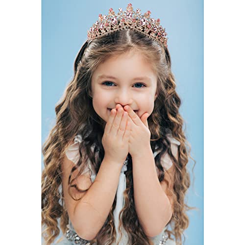 Pink Birthday Crown with Cherry Blossoms & Rhinestones for Women & Teen Girls - Regal Tiara Accessory