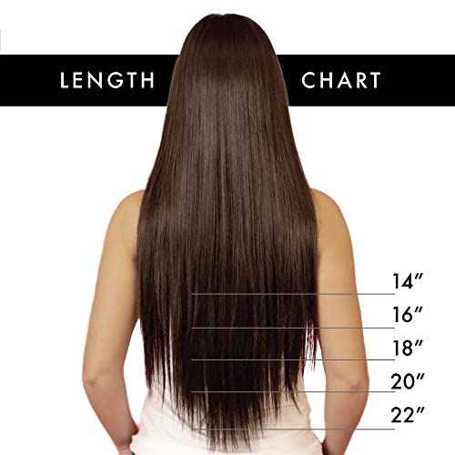 U Tip Hair Extensions by Everlong, Remy Human Hair, Fusion Glue Adhesive Method, Premium Keratin 56 gram Bundles, 20" #840 Sandy Bronde
