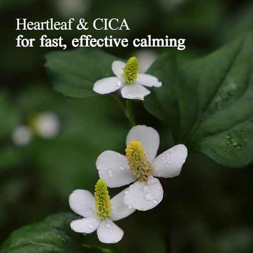 Pyunkang Yul PKY Calming Relief Gel Wash Off Pack 100g, Soothing & Refreshing Gel Mask for Sensitive Skin