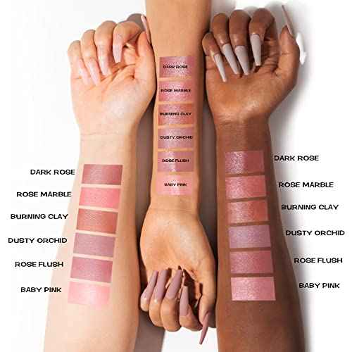 FOCALLURE Cream Blush Makeup,Buildable Blush Stick for Cheeks,Matte and Dewy Finish,Long Wearing,Easy Application,Lightweight Multi Stick,ROSE FLUSH