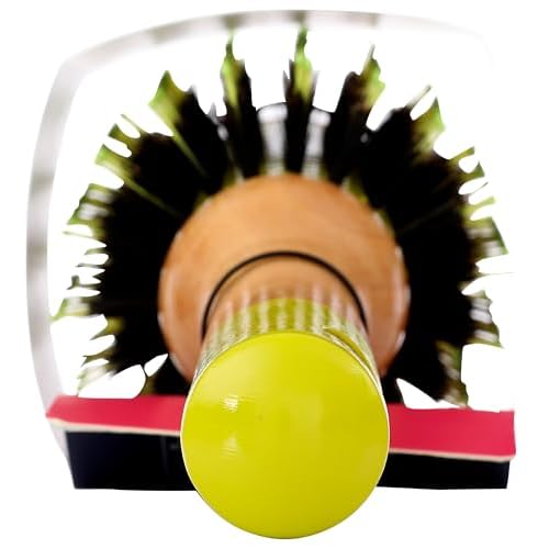 Goody Round Brush Wood Collection- Multi-color