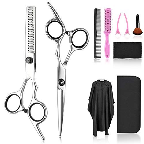 Professional 10 Pc Hair Cutting Kit with Thinning Shears