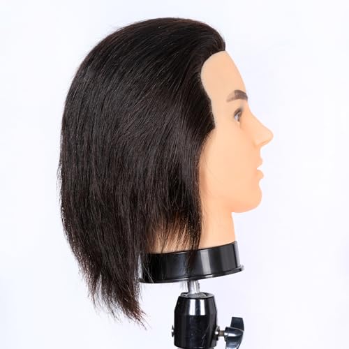 Male Mannequin Head 100% Human Hair with Stand