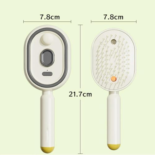 Electric Spray Massage Hair Brush, Rechargeable Detangling Steamer