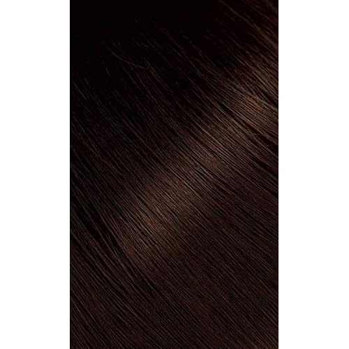 #46 Light Chestnut Bigen Permanent Powder - 6 Pack