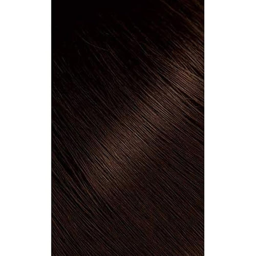 #46 Light Chestnut Bigen Permanent Powder - 6 Pack