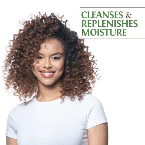 BioSilk Silk Therapy with Natural Coconut Oil Moisturizing Shampoo, Cleanses & Replenishes Moisture, Sulfate, Paraben & Cruelty-Free, 5.64 Oz