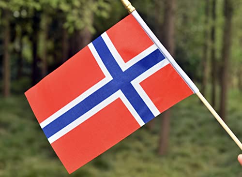 25 Pack Mini Norway Flags - 5x8 Inch Handheld Stick Flags