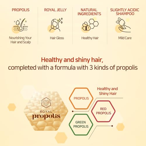 Kerasys Propolis Royal Jelly Extract Green Tea Olive Oil Shiny and Healthy Hair Propolis Green Moisture 33.8 fl oz / 1L (Shampoo + Treatment Set)