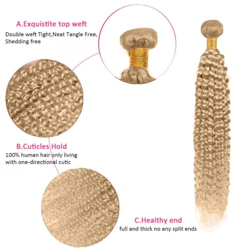Ash Blonde Curly Wave Human Hair Bundles - #22, 3 Pack, 18-22 Inch