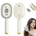 Electric Spray Air Cushion Massage Comb - 5 in 1 Rechargeable Hair Brush
