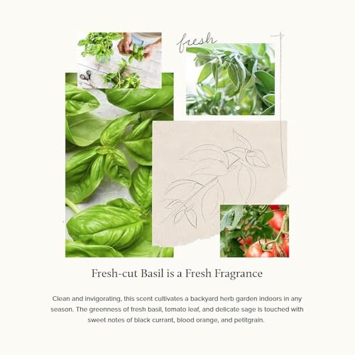 Thymes Soft Surface Scrub - Multipurpose Surface Cleaner - Scented Stain Remover with Baking Soda, Fennel & Parsley Extracts - Gentle Yet Effective Household Cleaner (Fresh-Cut Basil, 11.5 Fl oz)