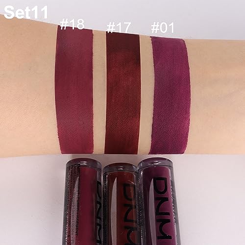 AMY'S DIARY Liquid Lipstick Set - 3Pc Matte Plum Long-Lasting
