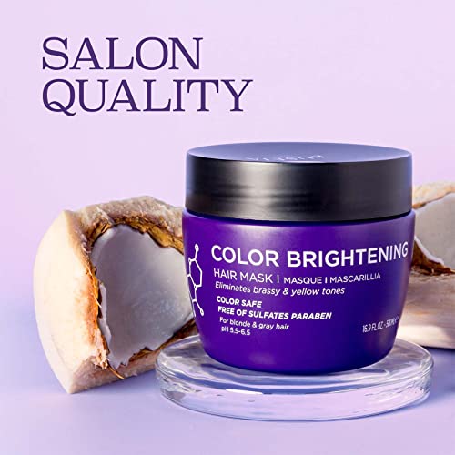 Luseta Purple Hair Mask for Blonde & Gray Hair 16.9oz