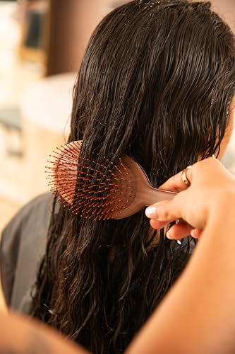 FRAMAR Chocolate Detangler Brush – Wet & Dry Hair