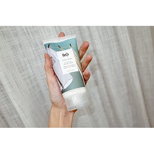 R+Co Cool Wind pH Perfect Air Dry Hair Cream | Hydrates + Tames + Softens | Vegan + Cruelty-Free |