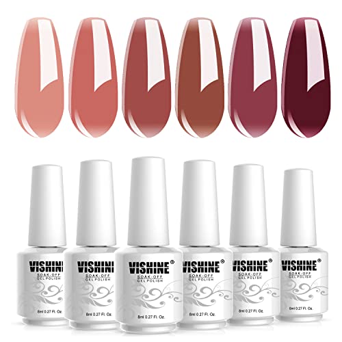 Vishine Jelly Gel Nail Polish Fall Winter Crystal Transparent Gel Polish Set Translucent Sheer Clear Dusty Rose, Red Burgundy, Skin Nude Gel Polish 6 Colors Gift Collection Manicure Kit 8ml