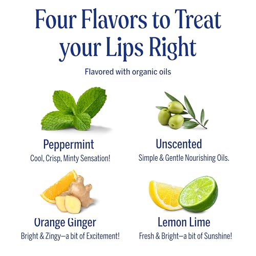 Dr. Bronner's Organic Lip Balm Variety Pack (4-Count)