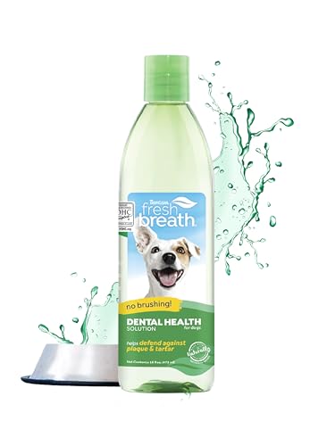 TropiClean Fresh Breath for Dogs | Dog Breath Water Additive | Dental Care | Dog Breath Freshener | Simple Pet Teeth Cleaning | Made in USA | 16 oz