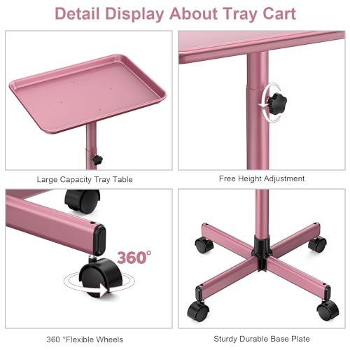 JOSTZHXIN Salon Tray,Rolling Tray Tattoo Tray,Hairstylist Rolling Tray Trolley, Height Adjustable Salon SPA Service Tray Cart