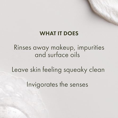 Origins Checks and Balances Frothy Face Wash | Gentle Face Cleanser for All Skin Types | With Mint