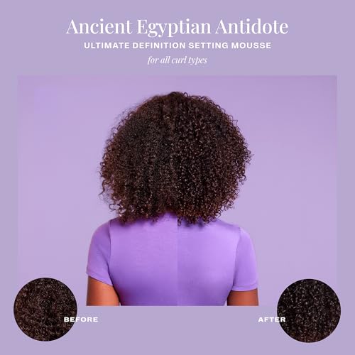 The Mane Choice Ancient Egyptian Antidote Ultimate Definition Setting Mousse