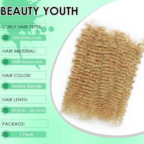 Afro Kinky Curly Human Hair Bulk for Permanent Micro Locs/Twists/Braids/Repair Locs Afro Kinkys Curly Bulk Human Hair14 inch 27# 50 Gram 1 Pack