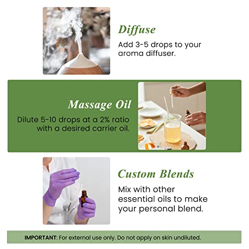 Handcraft Blends Rosemary Essential Oil - Huge 4 Fl Oz