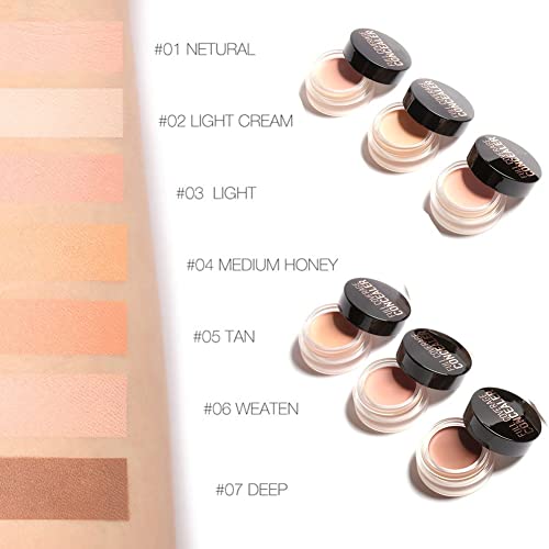 Semme Full Coverage Concealer Dark Circles Creamy Spot Correcting Concealer(#1)