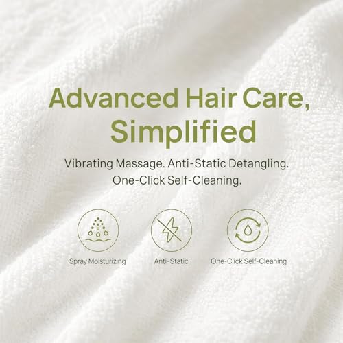 Electric Air Cushion Brush with Water Mist Spray for Frizzy Hair