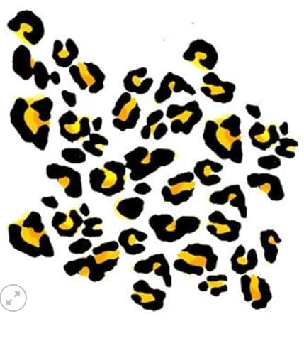 Leopard Print Temporary Tattoos – 2 Sheets 4.5" x 4.5"
