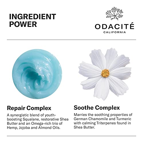 Odacit? Le Blue Balm Repair Balm, Blue Chamomile & Shea Butter, Multipurpose Face & Eye Moisturizer for Dry, Mature & Sensitive Skin, Barrier-Supporting Anti-Aging Cream, 1.69 fl oz.