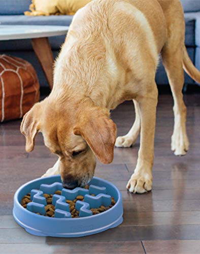 Outward Hound Fun Feeder Slo Bowl, Slow Feeder Dog Bowl, Large/Regular, Blue