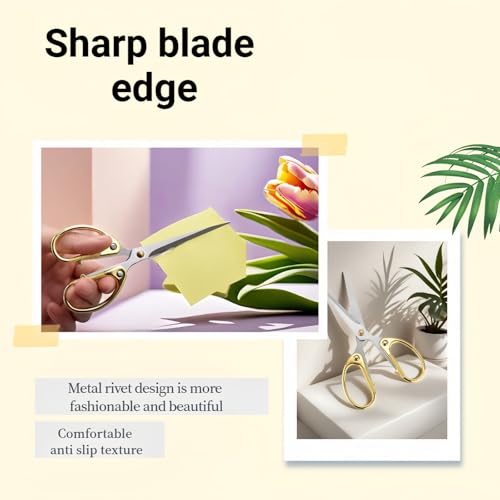 6.3 Inch Stainless Steel Office Scissors - Ambidextrous Multi-Purpose Shears