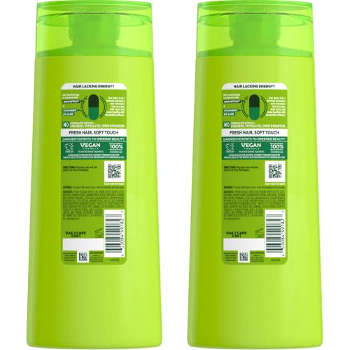 Garnier Fructis 2-in-1 Shampoo Conditioner 22 Oz, 2 Count