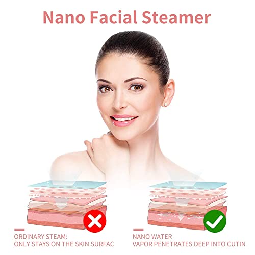 Nano Ionic Face Steamer with Blackhead Remover Kit