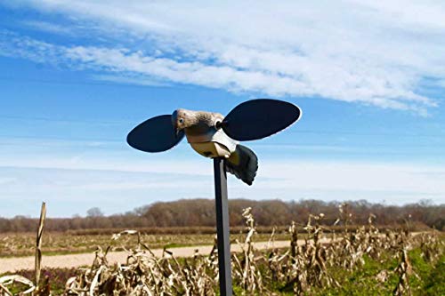 MOJO Outdoors Elite Series Dove Decoy – Ultra Realistic Motion Spinning Wing Decoy With Magnetically Attached Wings And Drop-In Battery Pack - Dove Hunting Gear and Accessories