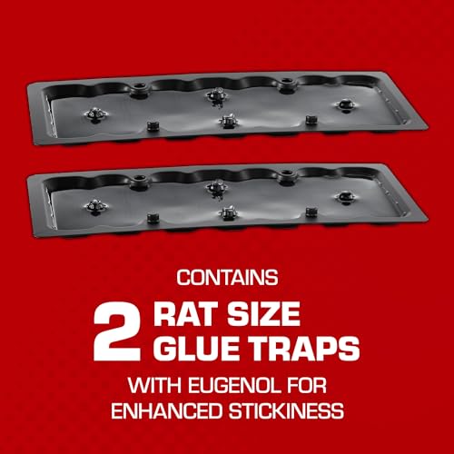 Tomcat Mouse Trap with Immediate Grip Glue for Mice, Cockroaches, Spiders, and Scorpions, Ready-To-Use, 4 Traps