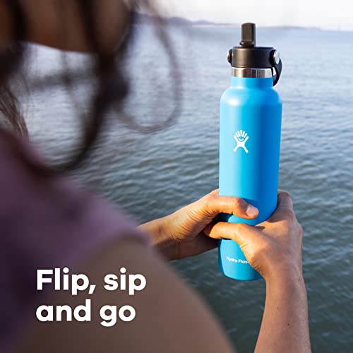 Hydro Flask Standard Flex Straw Cap Lupine 24 Oz