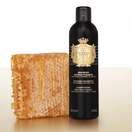 GIMME Beauty Dry Shampoo - For All Hair Types, Including Blonde - With Biotin, Aloe Vera & Keratin - Sulfate & Paraben Free with Sun Protection - Citrus Clarity
